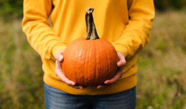 A young woman in a yellow sweatshirt holds an orange pumpkin in her hands. Harvesting concept or preparation for Halloween. Close-up.