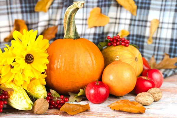 Grattis Thanksgiving Höstens Sammansättning Med Pumpor Gula Blommor Olika Grönsaker — Stockfoto