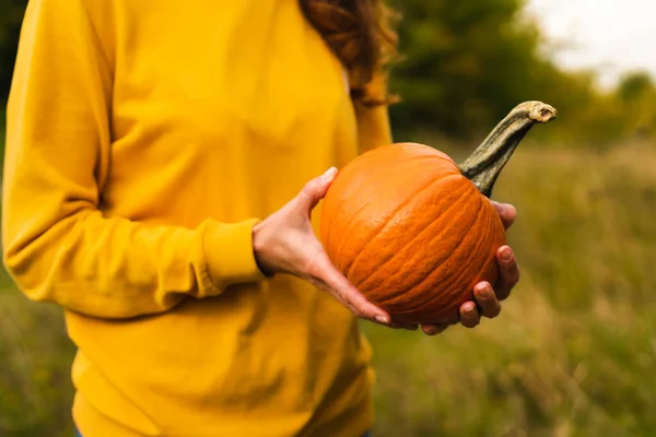 A young woman in a yellow sweatshirt holds an ripe pumpkin. Thanksgiving day, harvesting concept, preparation for Halloween. Close-up. Copy space.