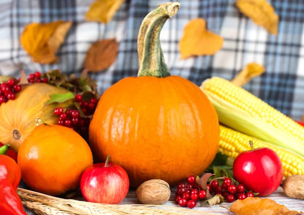Pumpar Grönsaker Frukt Och Höstlöv Träbakgrund Höstskörd Grattis Thanksgiving Närbild — Stockfoto