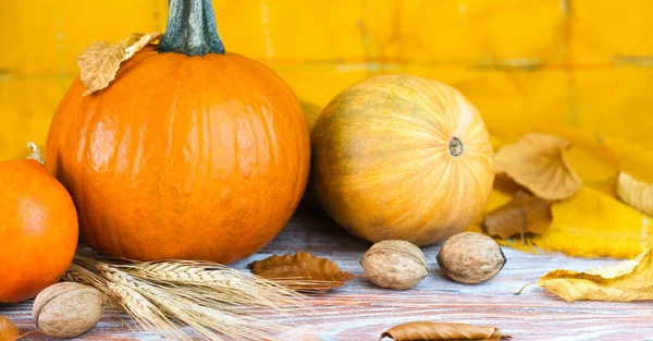 Höstens Sammansättning Med Pumpor Och Höstlöv Grattis Thanksgiving Närbild — Stockfoto