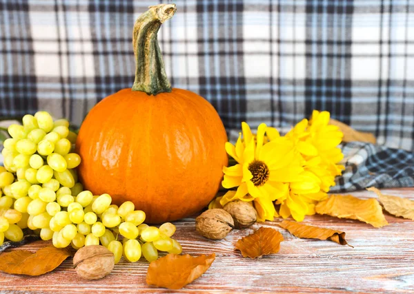 Festlig Höstdekor Höstens Sammansättning Med Pumpa Gula Blommor Och Druva — Stockfoto