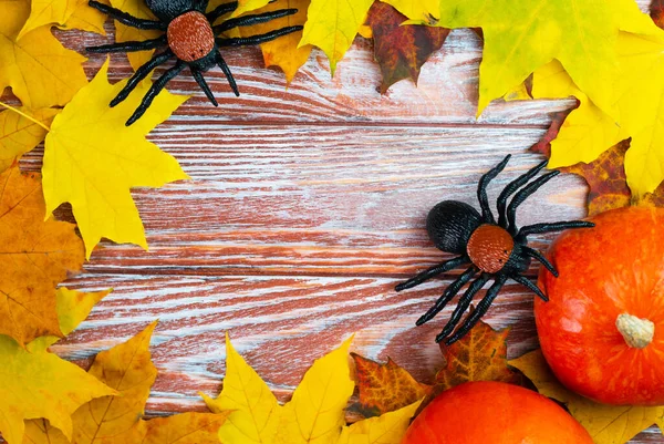 Εορταστική Σύνθεση Halloween Κολοκύθες Αράχνες Και Φύλλα Φθινοπώρου Απόκριες Διακόσμηση — Φωτογραφία Αρχείου