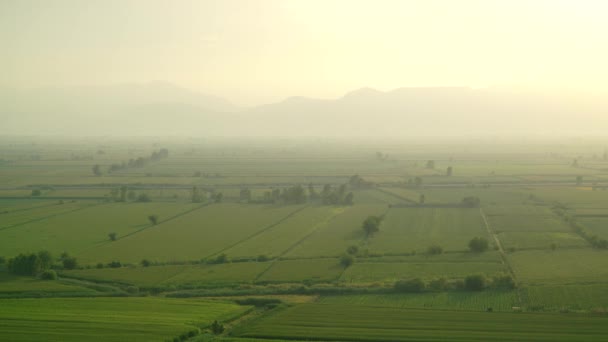 7680X4320 Wide Flat Plain Covered Green Fields Cinematic Enchanting Nature — Stock Video