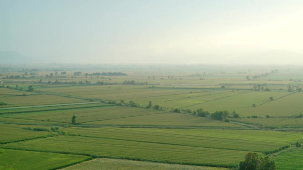 7680X4320 Wide Flat Plain Covered Green Fields Cinematic Enchanting Nature — Stock Video