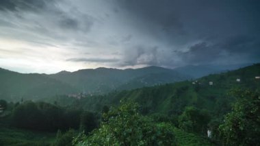 8K 7680x4320.Pakistan kırsalındaki çay tarlaları. Dağlık köydeki Müslüman camisi. Günbegün geçiş efekti. Camellia sinensis Theacea. Yağmur ormanlarında minare..
