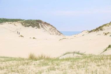 Kum tepelerinin arasından sahile doğru bir manzara..