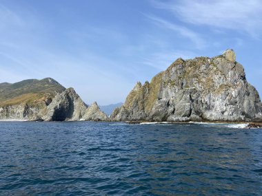 Pasifik Okyanusu ve kayalar