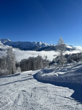 Dağlarda kış manzarası