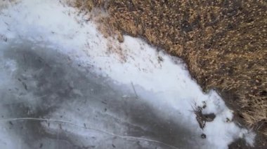 Kiev Spikelet 'teki Ada Donmuş Göl