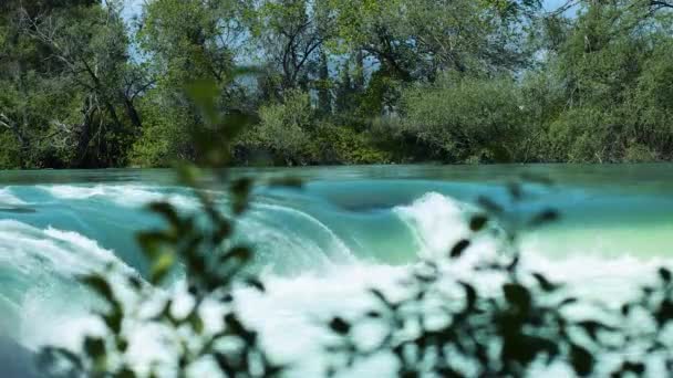 Belle Cascade Dans Silence Complet Vent Bruit Des Arbres — Video