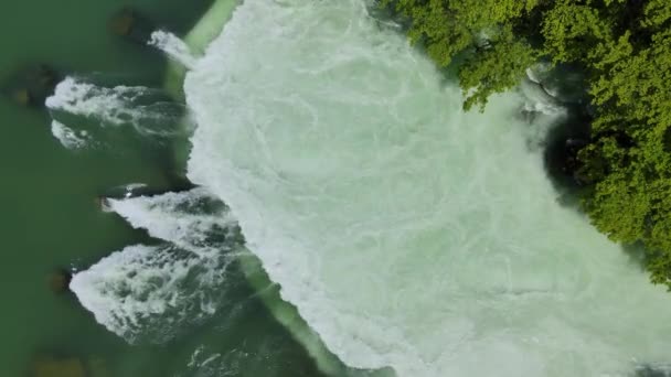 Une Belle Cascade Qui Coule Dans Rivière Parmi Les Arbres — Video