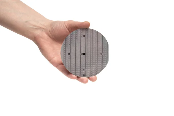 Uma Mão Segura Uma Bolacha Silício Semicondutor Multicamadas Com Chip — Fotografia de Stock