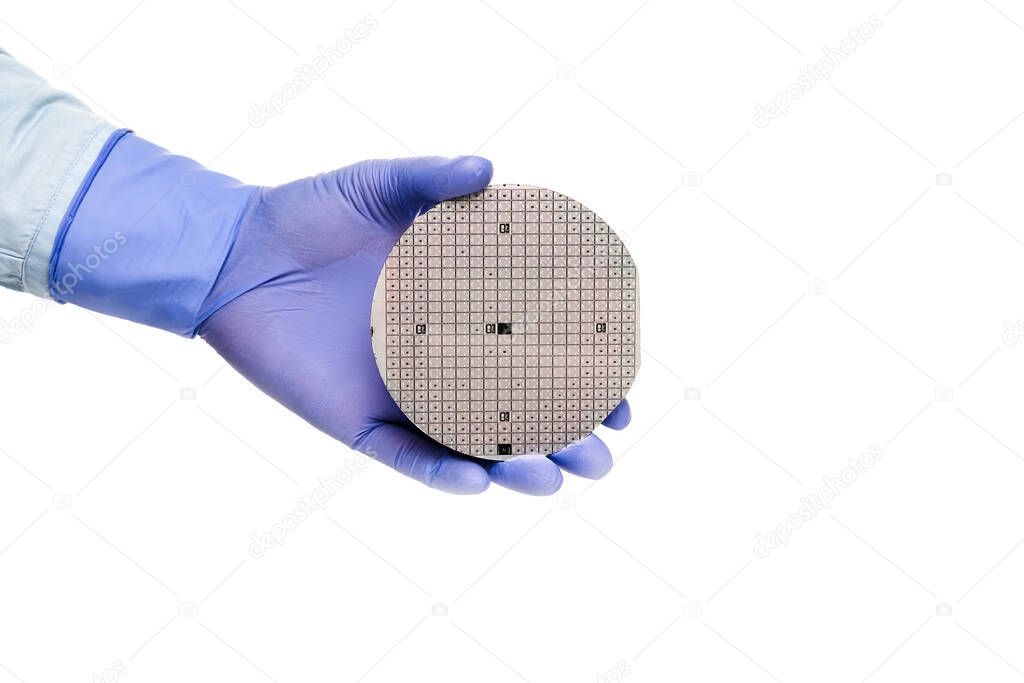 A hand in a rubber glove holds a multilayer semiconductor silicon wafer with a microcircuit chip of a powerful Darlington transistor isolated on a white background.
