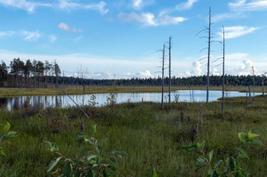 Doğal formunda ormanlar, göller ve nehirlerle kuzey doğası.