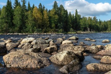 Doğal formunda ormanlar, göller ve nehirlerle kuzey doğası.