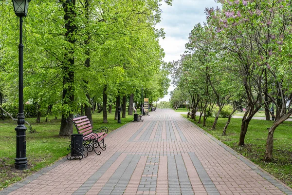 Yürüyüş için parkta taş bir ara sokak ve leylak ve ıhlamur ağaçlarının arasındaki el yapımı bir bankta dinlenmek. Topuklar için uygunsuz bir yol.
