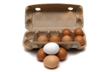 Geri dönüşümlü kağıttan yapılmış basılmış kağıttan yapılmış çevre dostu ambalajlı tavuk yumurtası. Beyaz arka planda kahverengi ve beyaz yumurtalar .