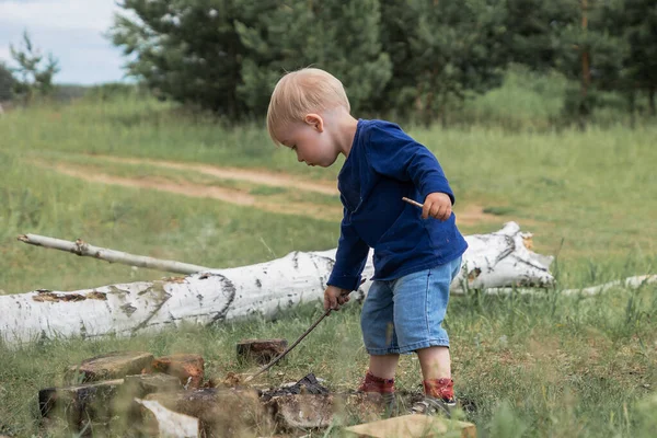 Küçük sarışın bir çocuk, 2 yaşında. Kuru bir huş ağacının yanında kamp ateşinin kömüründe sopayla oynuyor..