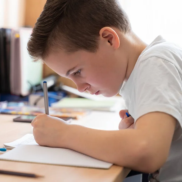 Çocuk evde uzaktan bilgisayar ve internet kullanarak ders veriyor..