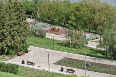 Parkta çim ve ağaçlarla eğlenen aile eğlencesi.