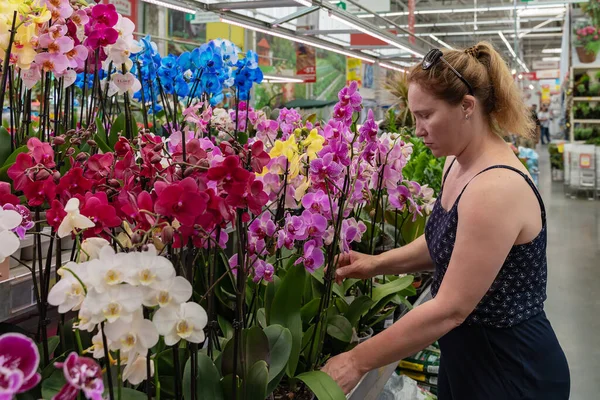 Orta yaşlı bir Alman kadını farklı renklerde orkide çiçekleri seçer. Kadın orkideleri seviyor ve nasıl orkide yetiştireceğini biliyor. Orkide uzmanı..