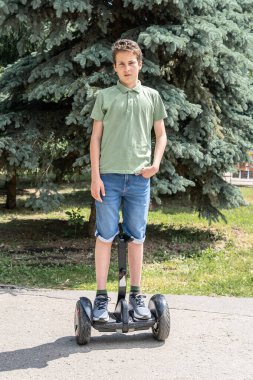 Bir çocuk iğneli yeşil bir ladin yanındaki jiroskopta duruyor. Eğlence parkında jiroskop kullanıyor..