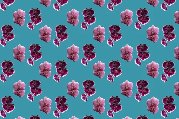 Yeşil arka planda pembe ve mor renkli orkidelerin deseni.