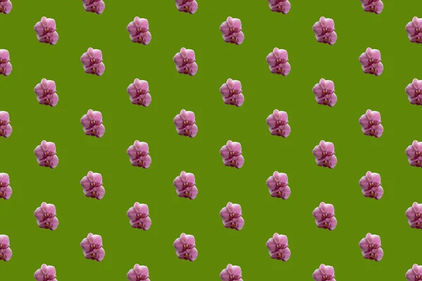 Patroon Van Een Roze Orchidee Bloem Een Groene Achtergrond — Stockfoto
