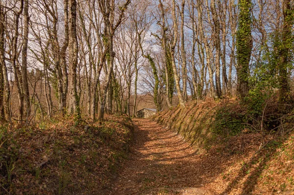 En Çiçekli Kulübe Peyzajı 