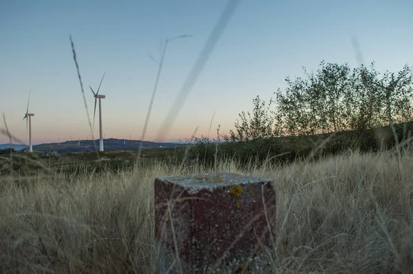 Rüzgar çiftliği Eolic Park 