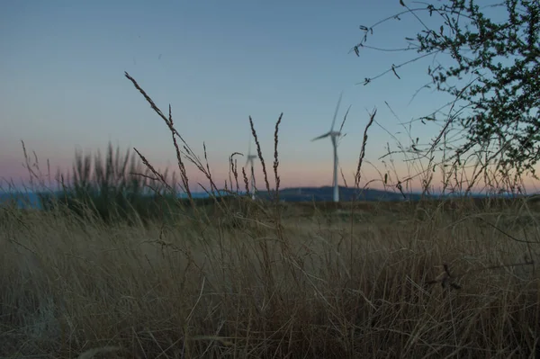 Rüzgar çiftliği Eolic Park 