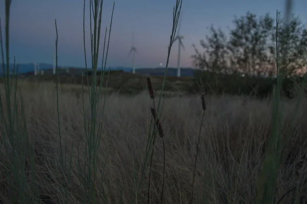 Rüzgar çiftliği Eolic Park 