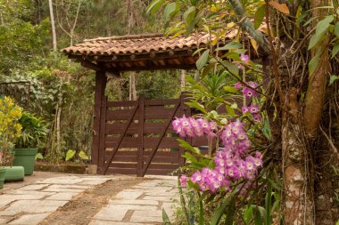 Bir grup Laelia orkidesi ile süslenmiş bir kapıya giden yol tropikal bir ortamda Petropolis, Rio de Janeiro, Brezilya