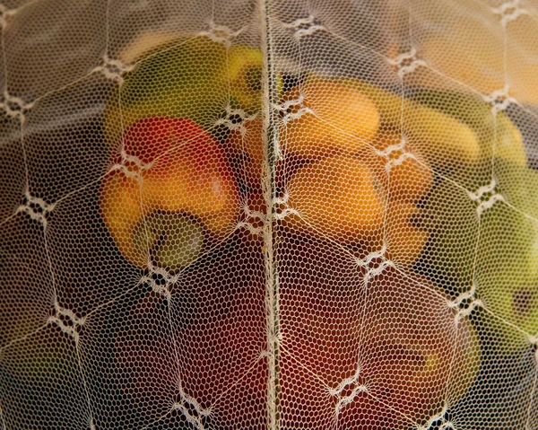Tropical Fruit Cashew Loquat Mango Banana Protected Mesh Fruit Tent — Stock Photo, Image