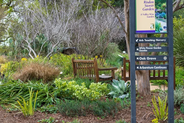 Davis California Usa March 2020 Davis Arboretum Risbon Storer Garden — Stock Photo, Image