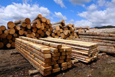 Ağaç kesme, ahşap ürünlerin üretimi için yuvarlak kütüklere kesme