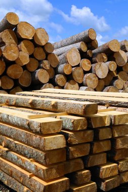 Ağaç kesme, ahşap ürünlerin üretimi için yuvarlak kütüklere kesme