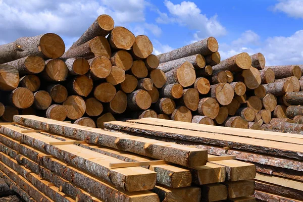 Ağaç kesme, ahşap ürünlerin üretimi için yuvarlak kütüklere kesme