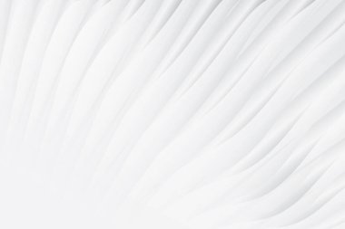 Soyut beyaz ve gri renkli, geometrik şekilli modern tasarım arka planı. Vektör illüstrasyonu.