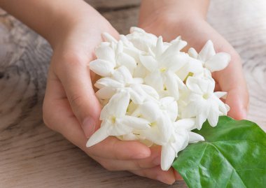 Yasemin. Yasemin bol bol elinde.