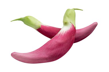 Beyaz arkaplanda Kırmızı Sesbania grandiflora (kırpma yolu ile))