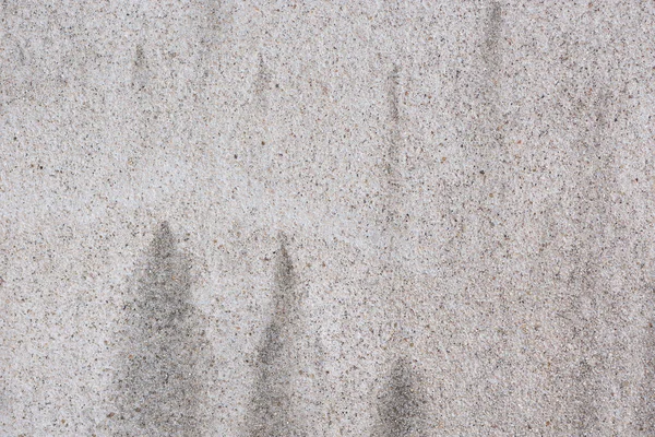 Doğa Dokusu Çimentoyla Kaplanmış Duvar Uzun Süre Neme Maruz Kaldığında — Stok fotoğraf