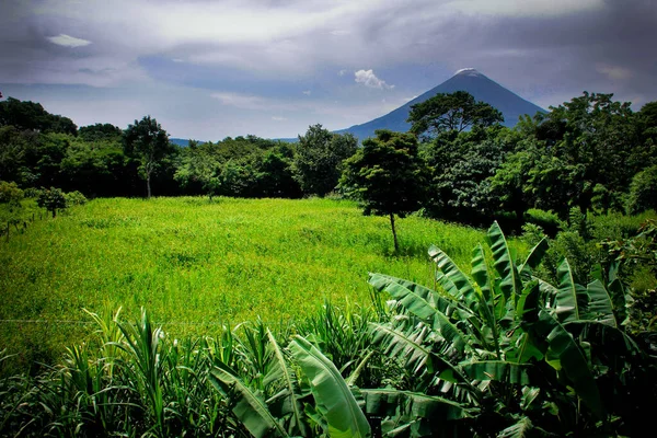 Ometepe, Nikaragua 'daki Concepcion yanardağının güzel manzarası. 2013