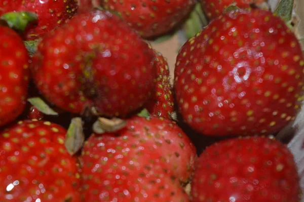 Červená Zralé Jahodové Ovoce Pozadí Obsahuje Vitamín Zblízka Lze Použít — Stock fotografie