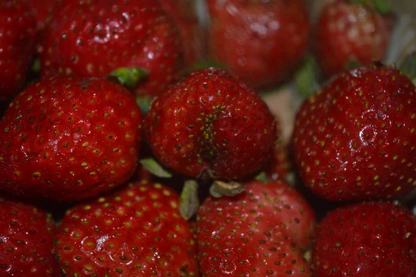 Červená Zralé Jahodové Ovoce Pozadí Obsahuje Vitamín Zblízka Lze Použít — Stock fotografie