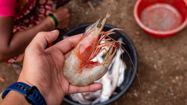 Kumsalda taze karidesler satılıyor.