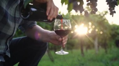 Authentic close up shot of successful male winemaker is pouring red wine in transparent glass for tasting a flavor and checking a quality on vineyards background at sunset. High quality 4k footage