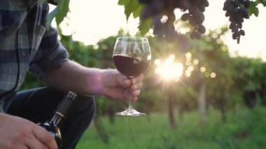 A man holds a glass of red wine in the rays of the setting sun. Stands near the vineyard. High quality 4k footage