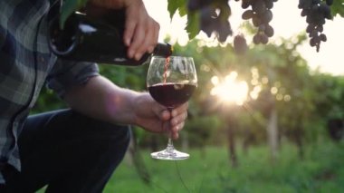 slowly pours wine into the glass then stirs, sunset, in the winery. close up, red wine, wine bottle, vine. High quality 4k footage